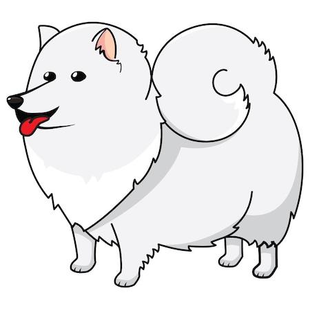 Signmission American Eskimo Dog Dog Decal, Dog Lover Decor Vinyl Sticker D-12-American Eskimo Dog
